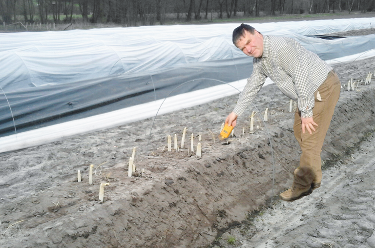 Alps Hof Spargel