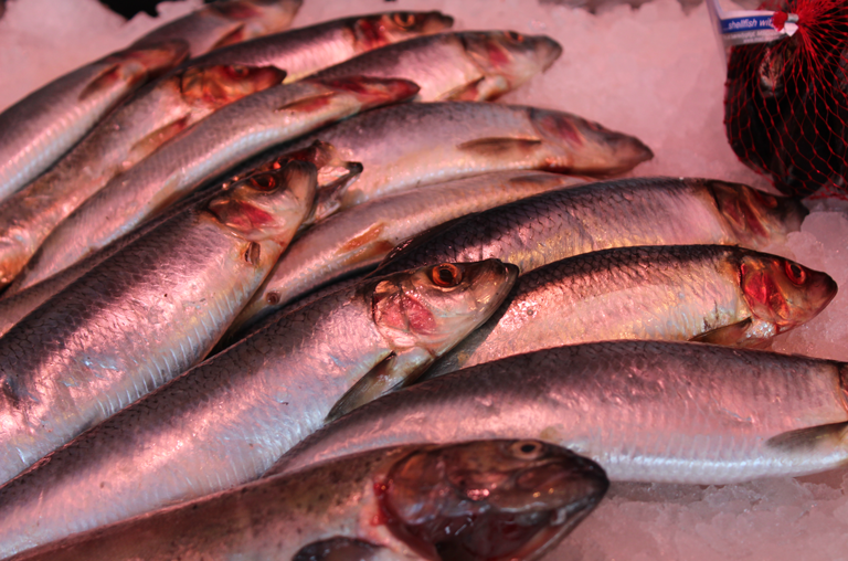 Fischfeinkost Backhus