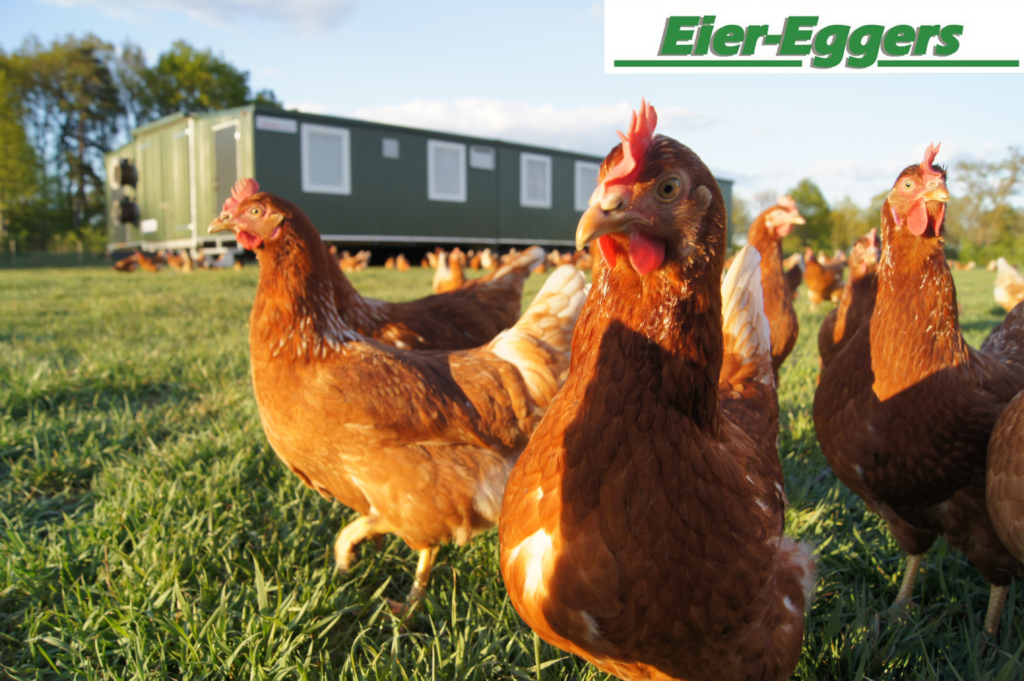eier-eggers-logo
