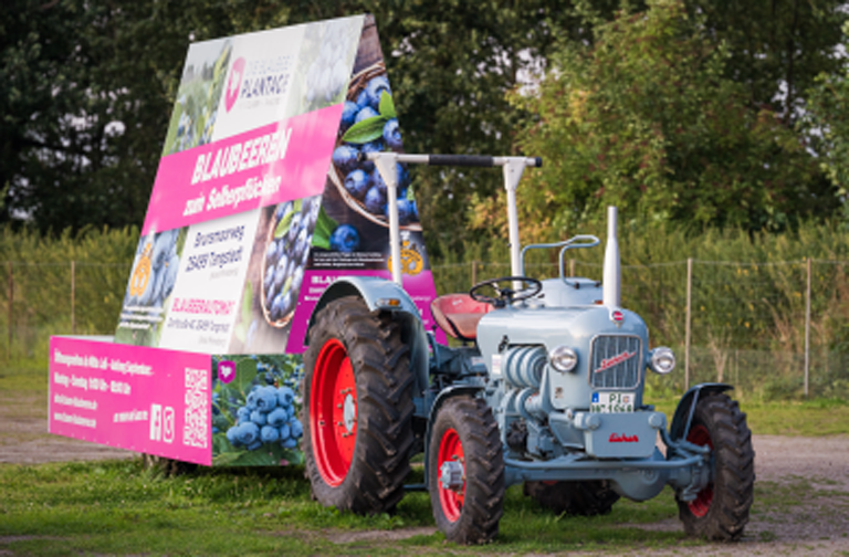 Clasen Blaubeeren